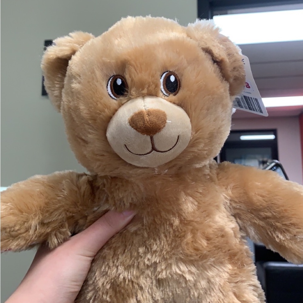 Brown Teddy Bear